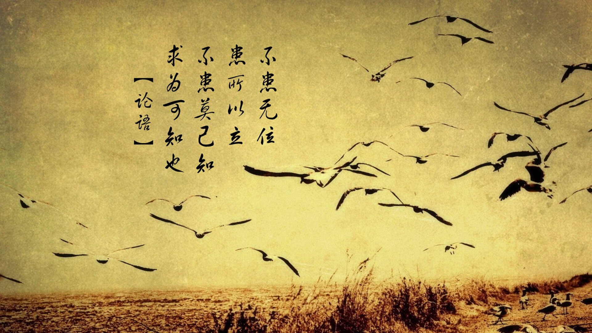克莱·汤普森投篮远距离破纪录，三分线外无敌手，克莱汤普森投球