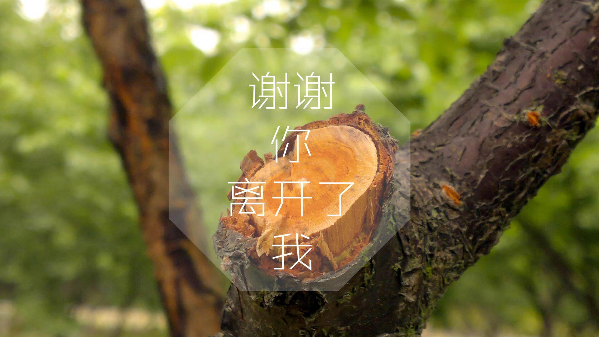 AYX体育-墨西哥换人上场自带“火锅”，热翻全场，墨西哥juarez