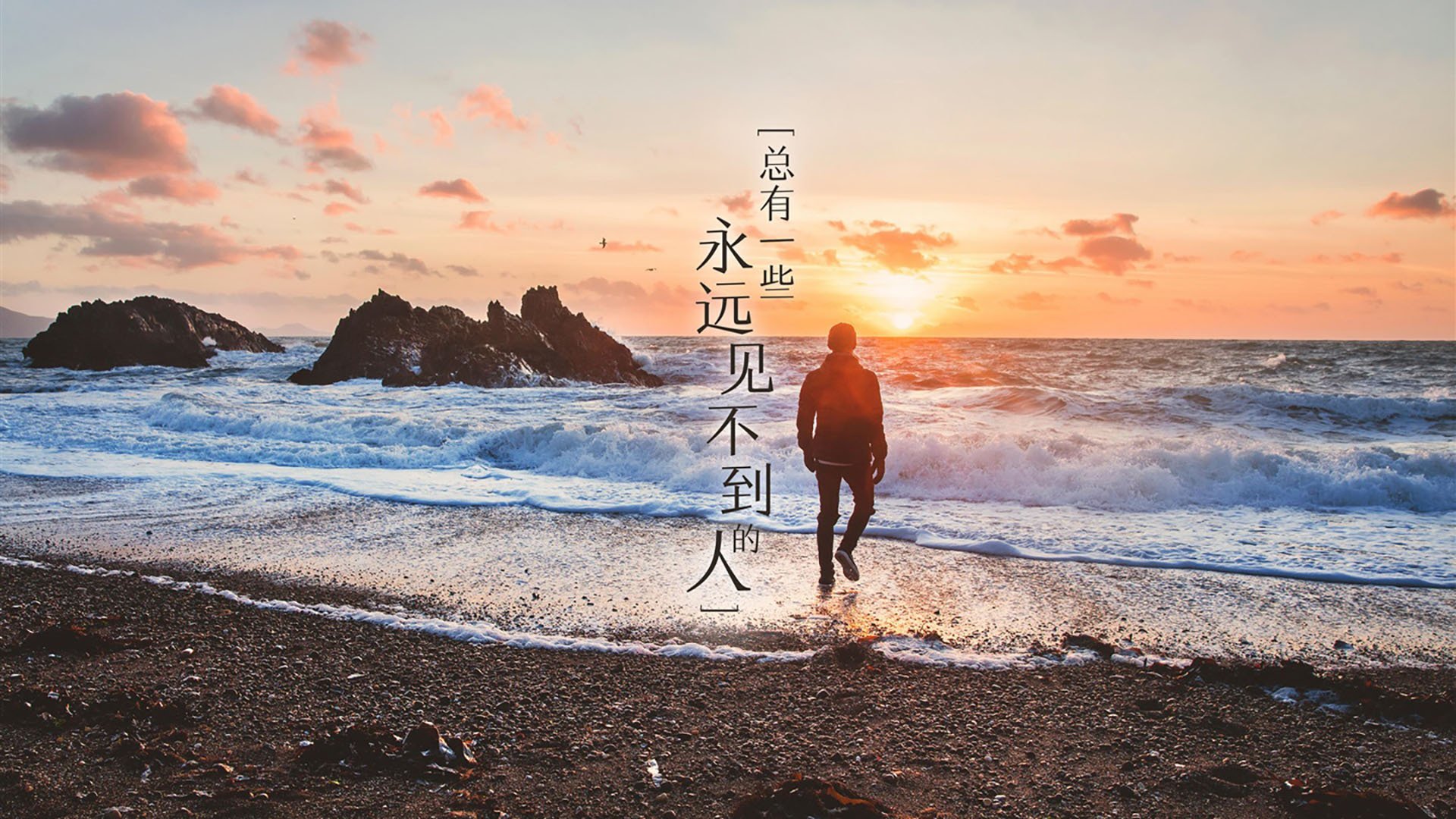 逆境求生：球队如何在危机中扭转局势，逆境求生的狮群