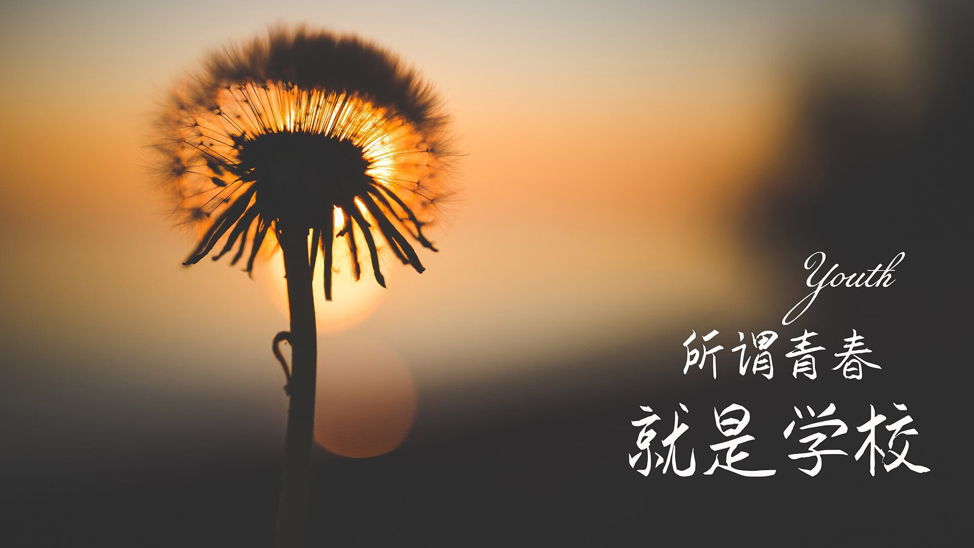 爱游戏体育（AYX）官方APP下载-国际赛事资格赛激烈进行，国际比赛规定