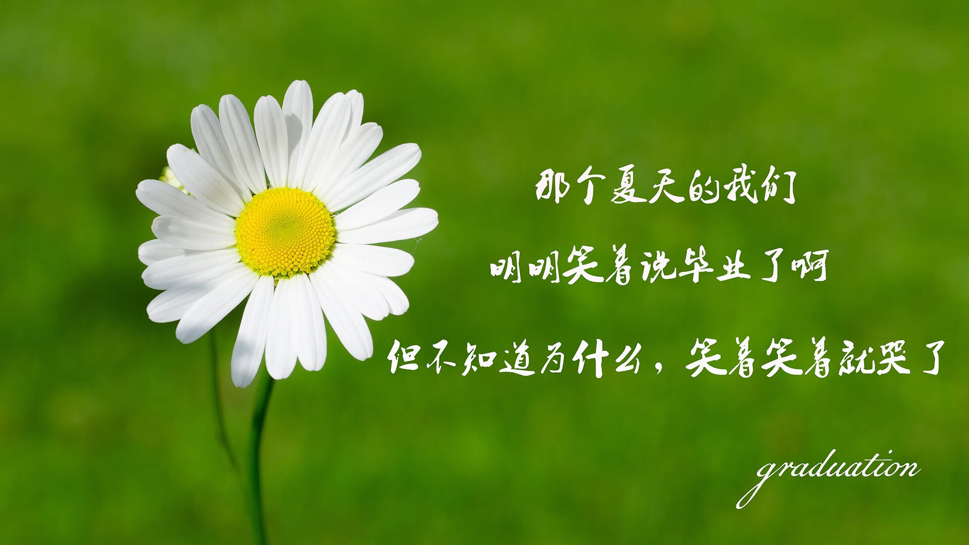 意甲青训项目引入情绪管理提升抗压能力研究，意甲各队训练营