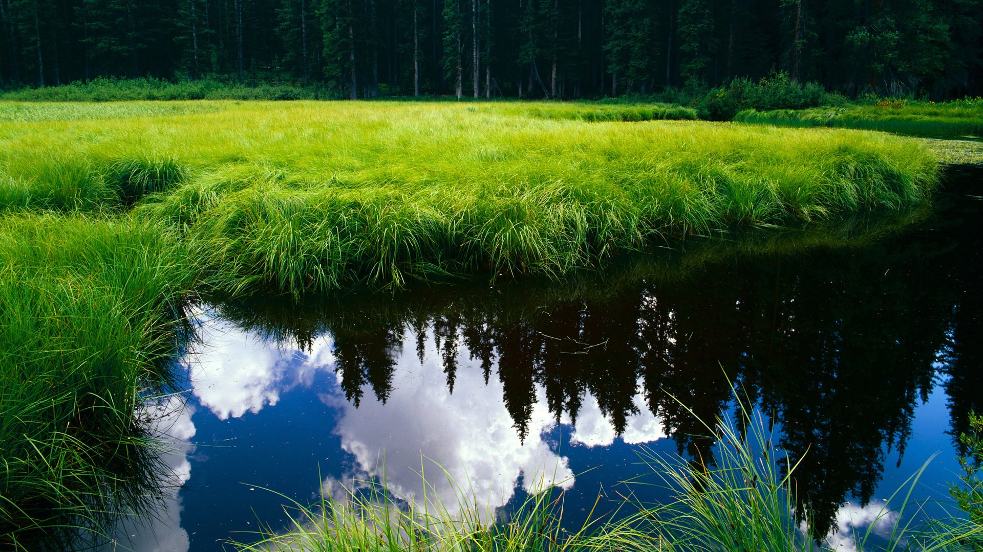 体育新闻中心构建全国体育内容版权交易机制,体育市场媒体