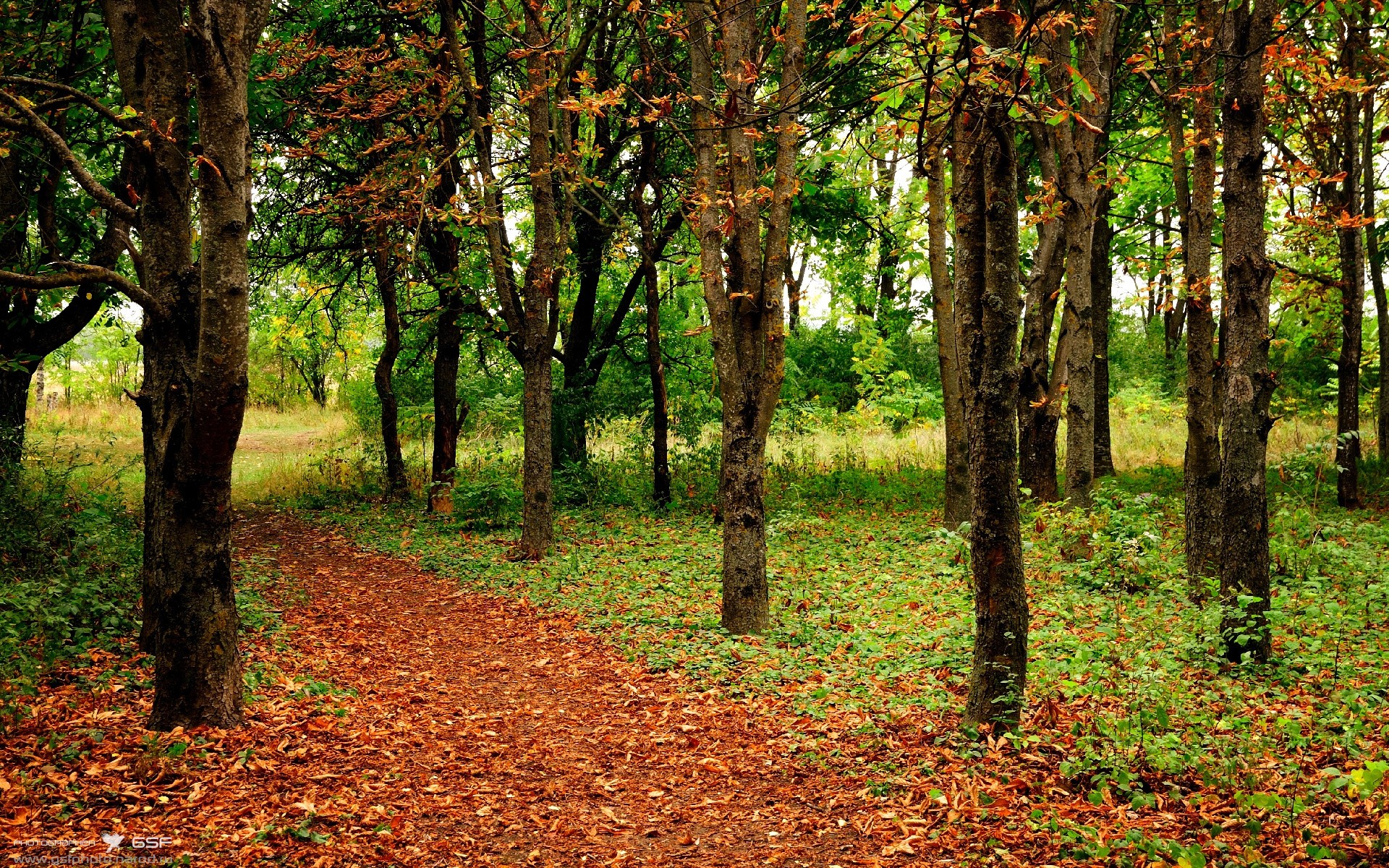 国家队长周期集训机制缺乏战略目标,国家队队长是谁