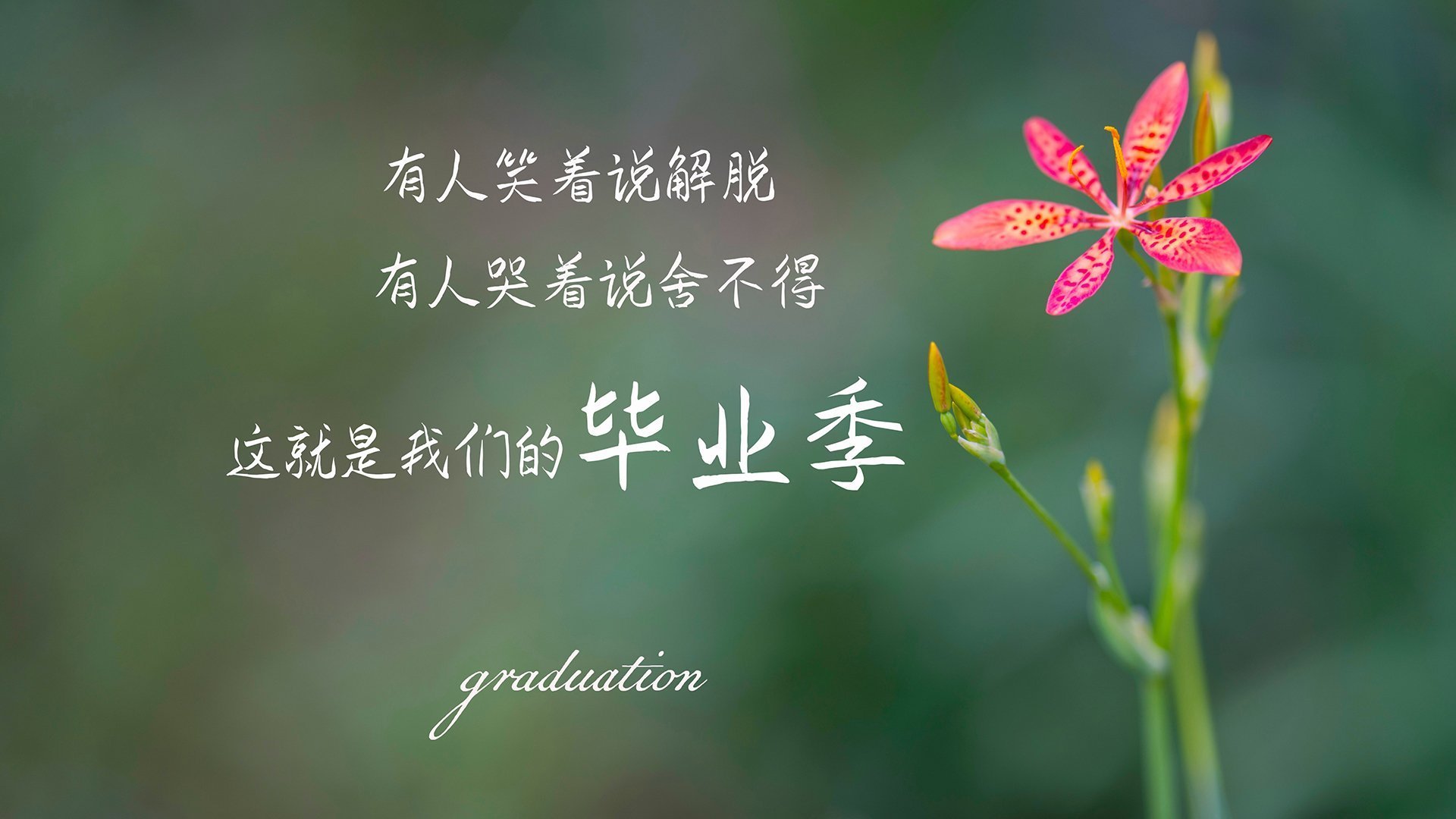 国家队技战术水平提升瓶颈,国家技巧队