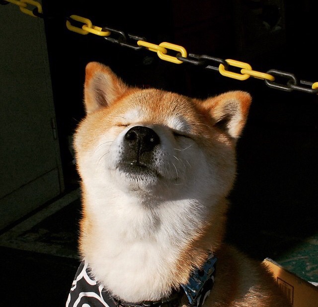 场均得分高但命中率低的球员分析,命中率百分百的球员