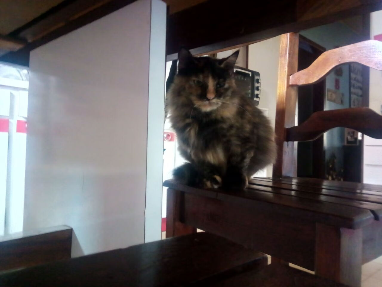 76人训练场开放日吸引大批粉丝参观，76人全队