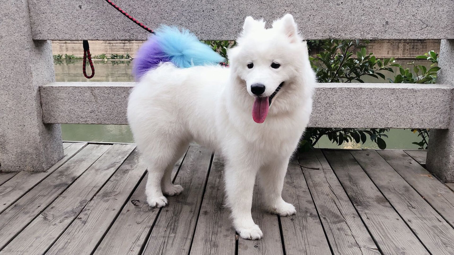 中国男篮世界杯阵容正式公布,中国男篮世界杯球员名单