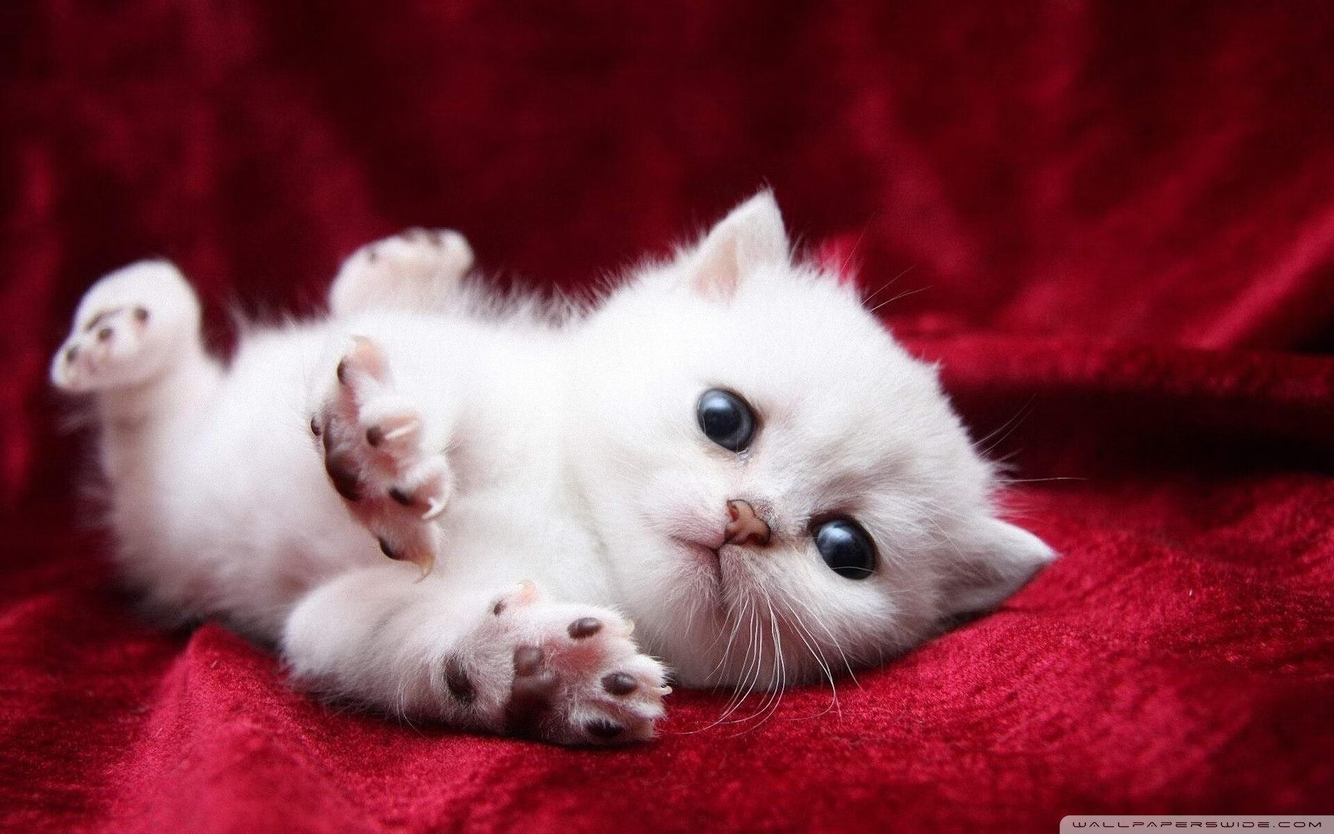 掘金通过强硬内线得分建立稳定领先,掘金进攻能力