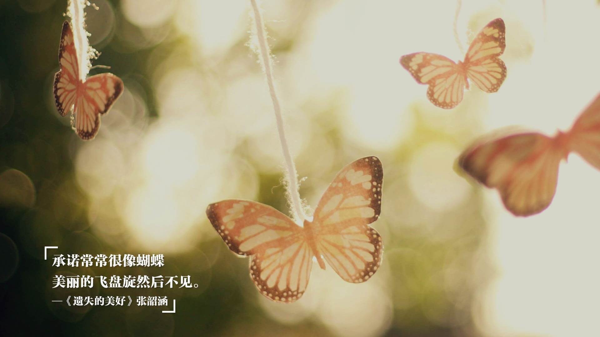 滑雪运动装备检测标准逐步完善,滑雪装备示意图