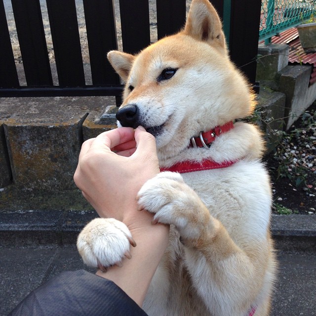 美洲杯压力之下:拼搏不止,精彩纷呈,美洲杯!