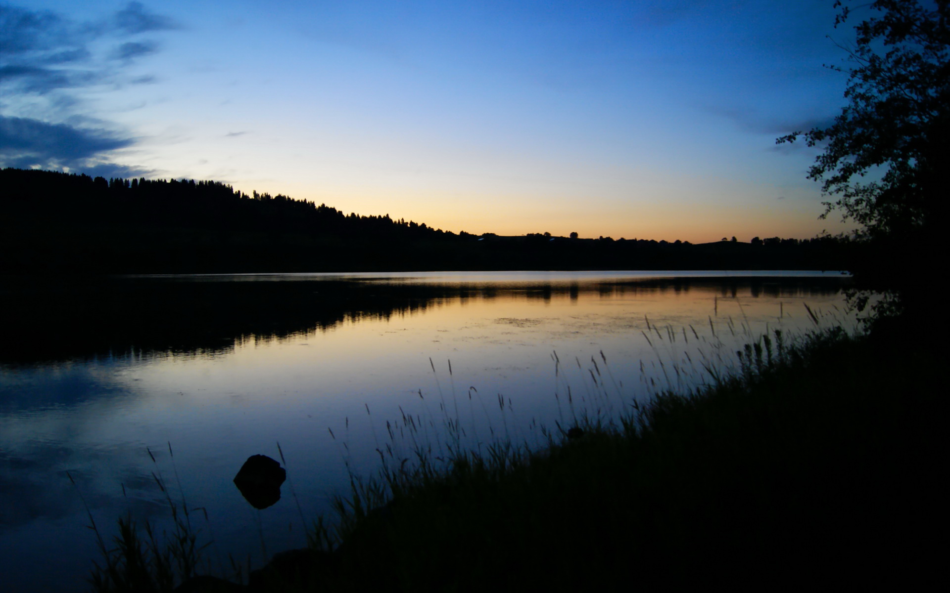 谷爱凌带伤坚持完成自由式比赛,谷爱凌带伤参赛